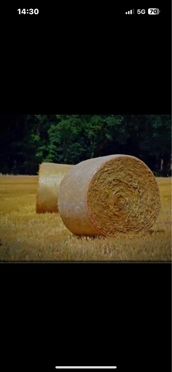 Straw - Image 1