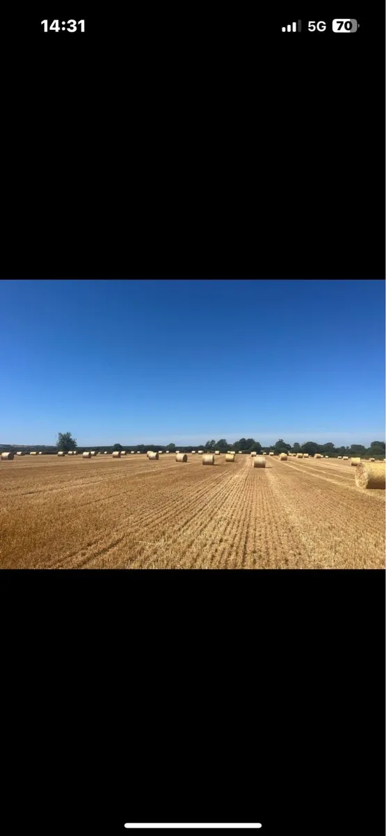Straw - Image 2