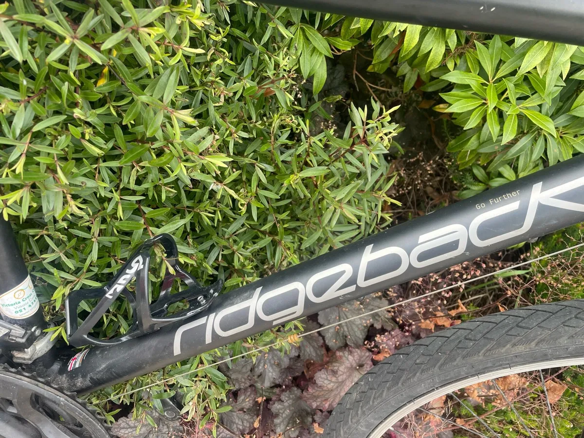 Ridgeback Dual Track Mx 19” - 26” wheels - Image 3