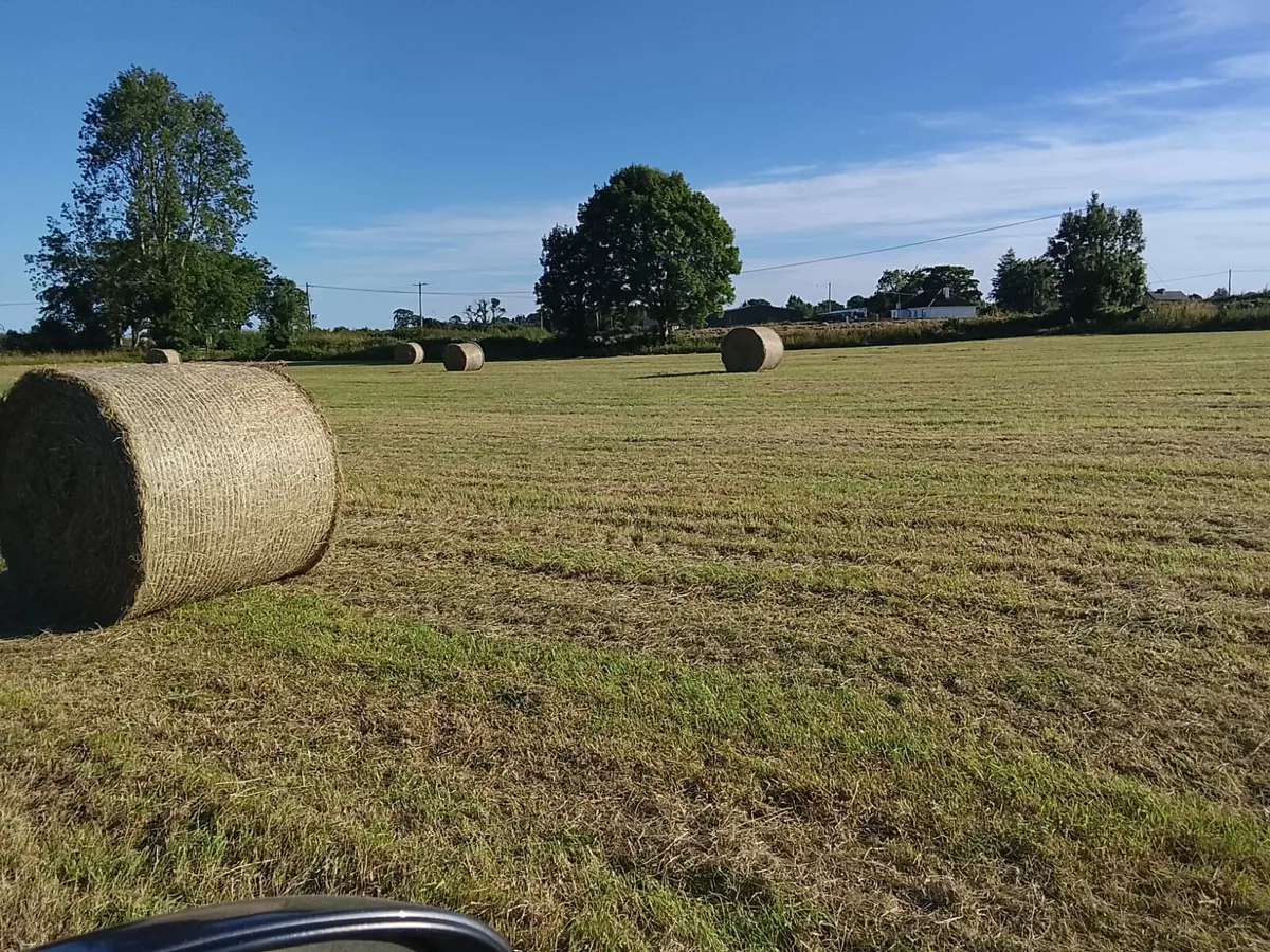 Hay bales - Image 3