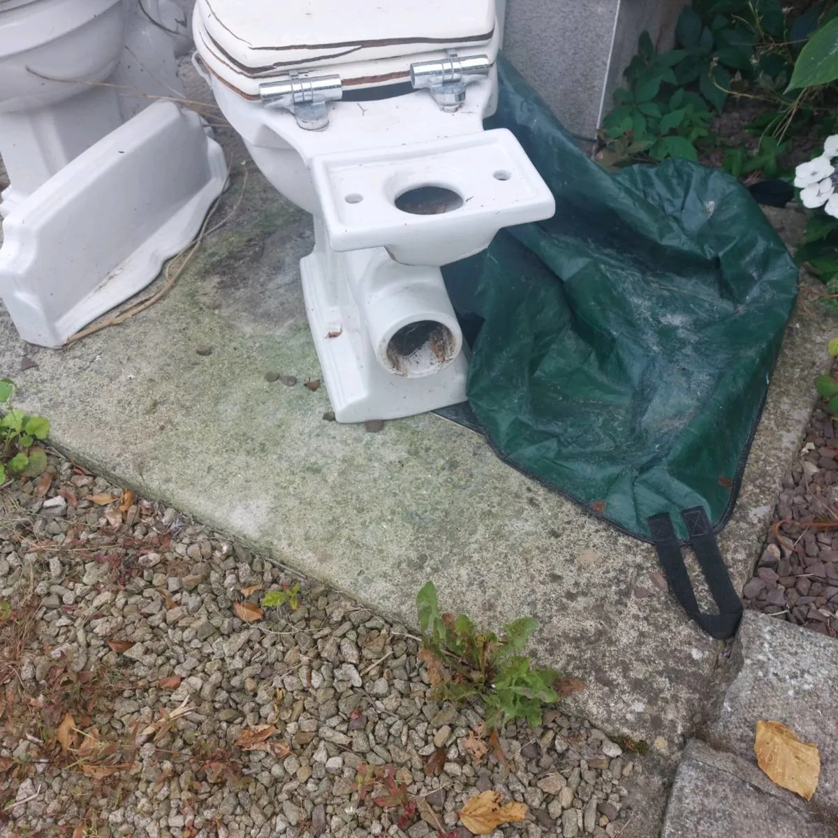 Toilet and matching sink - Image 3