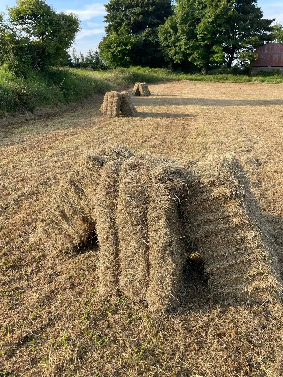 Hay for sale - Image 1