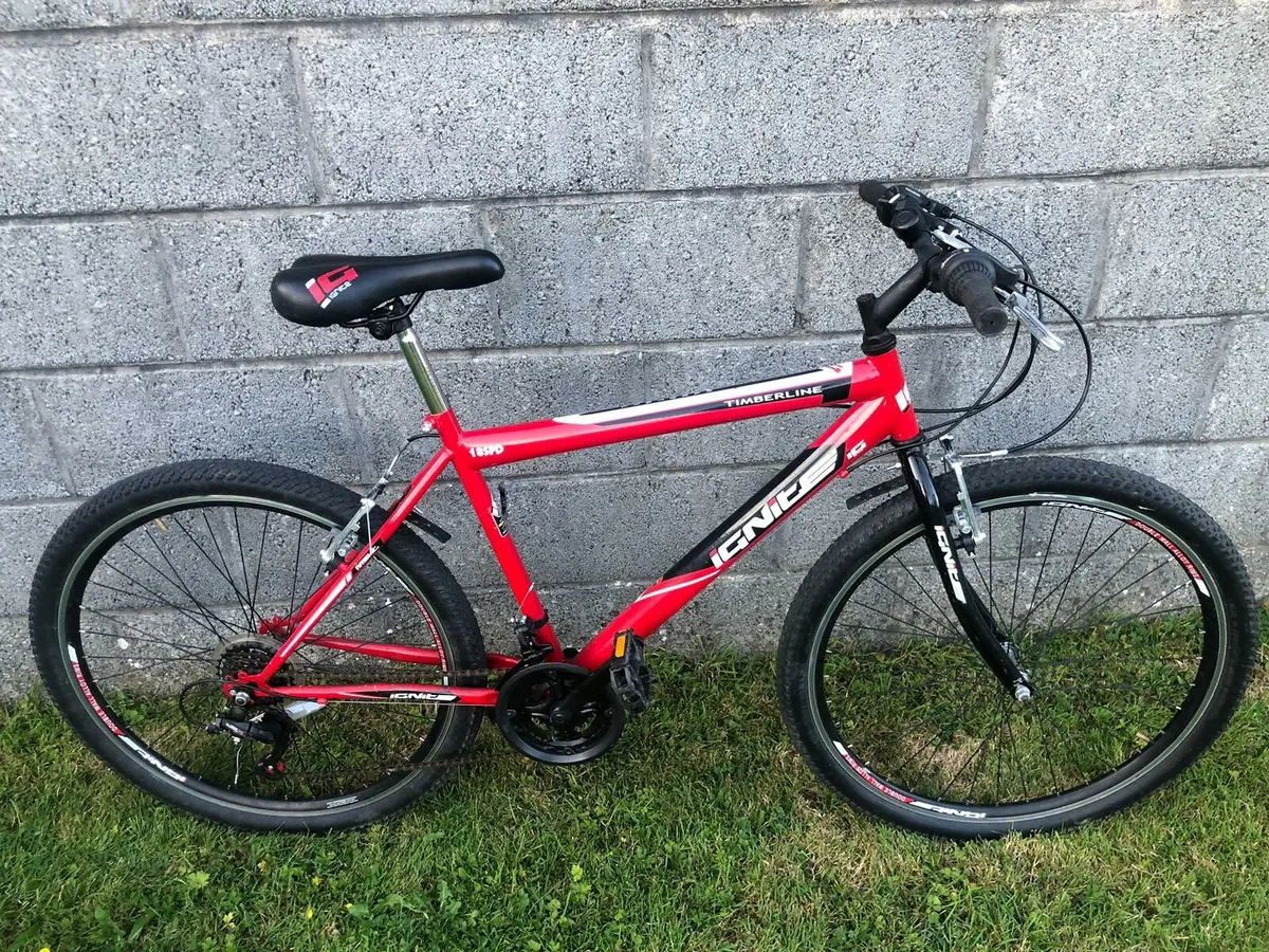 26" Mountain Bike - Image 1