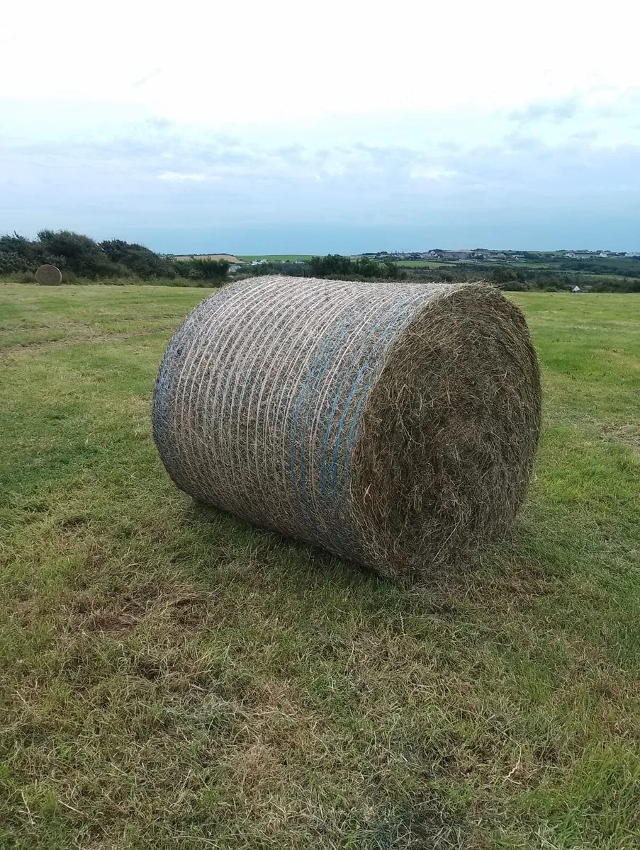 Hay bales - Image 2