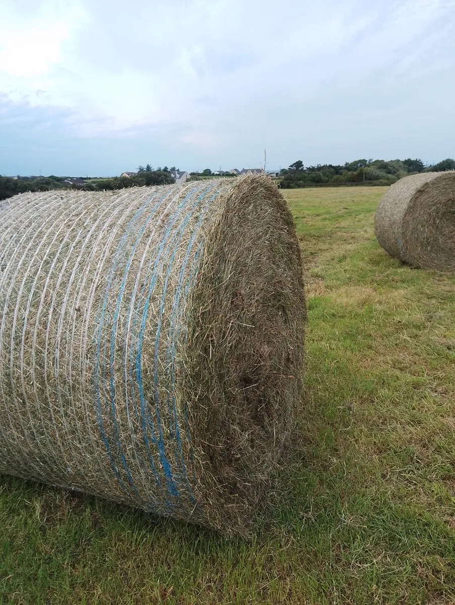 Hay bales - Image 3