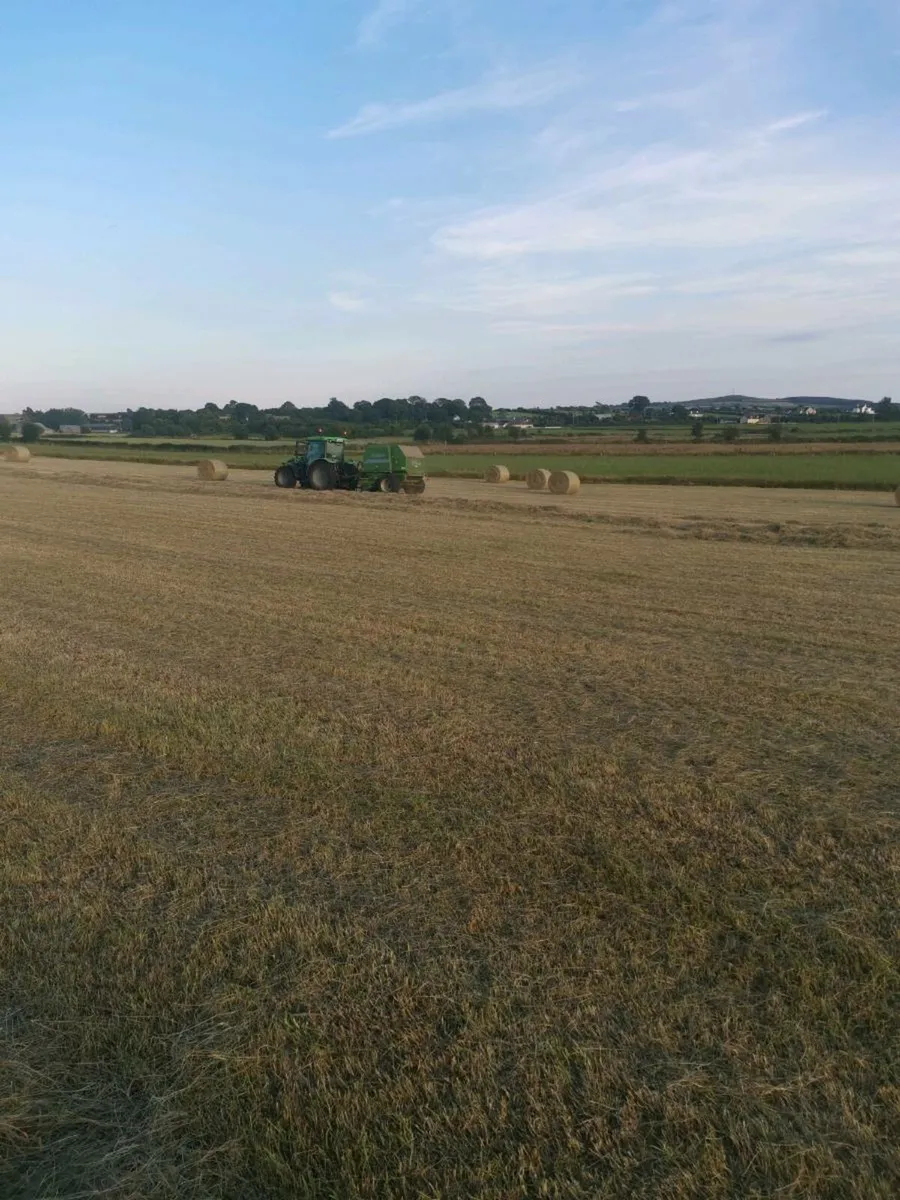 Organic hay - Image 1