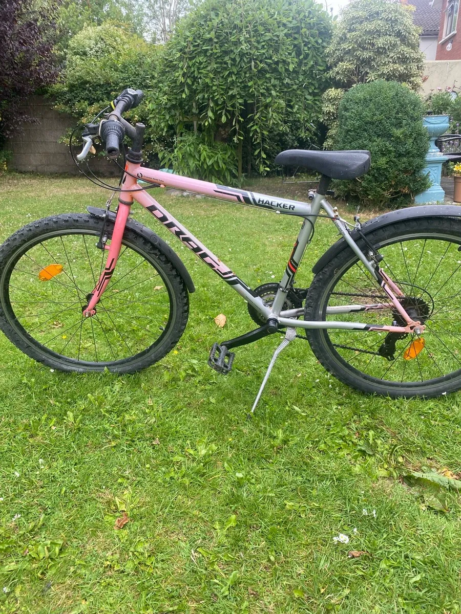 Mountain bike - Image 1
