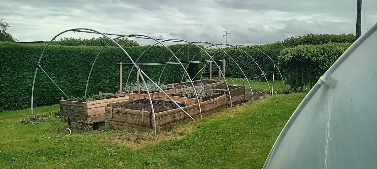 polytunnel steel - Image 3