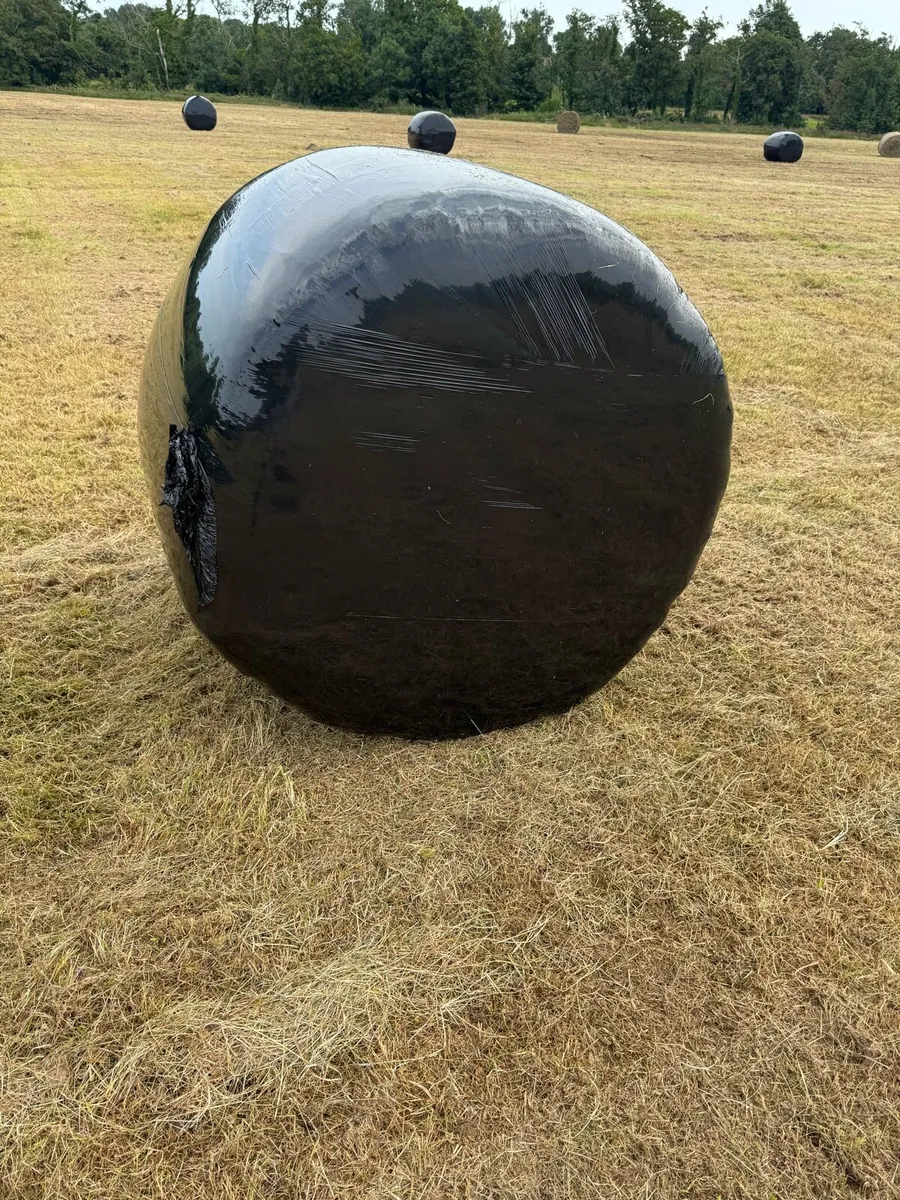 Haylage - Image 1