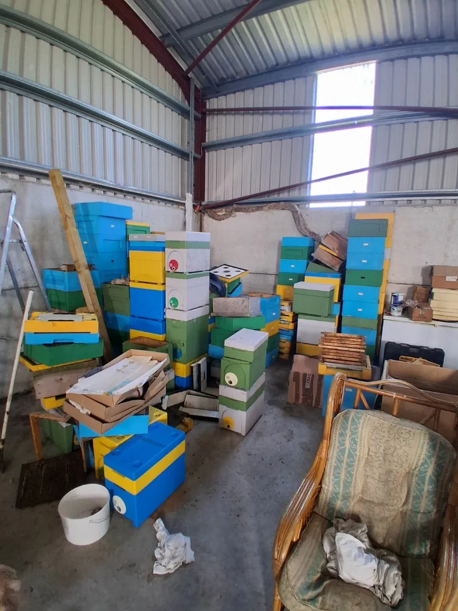 Beekeeping equipment & Bees - Image 3