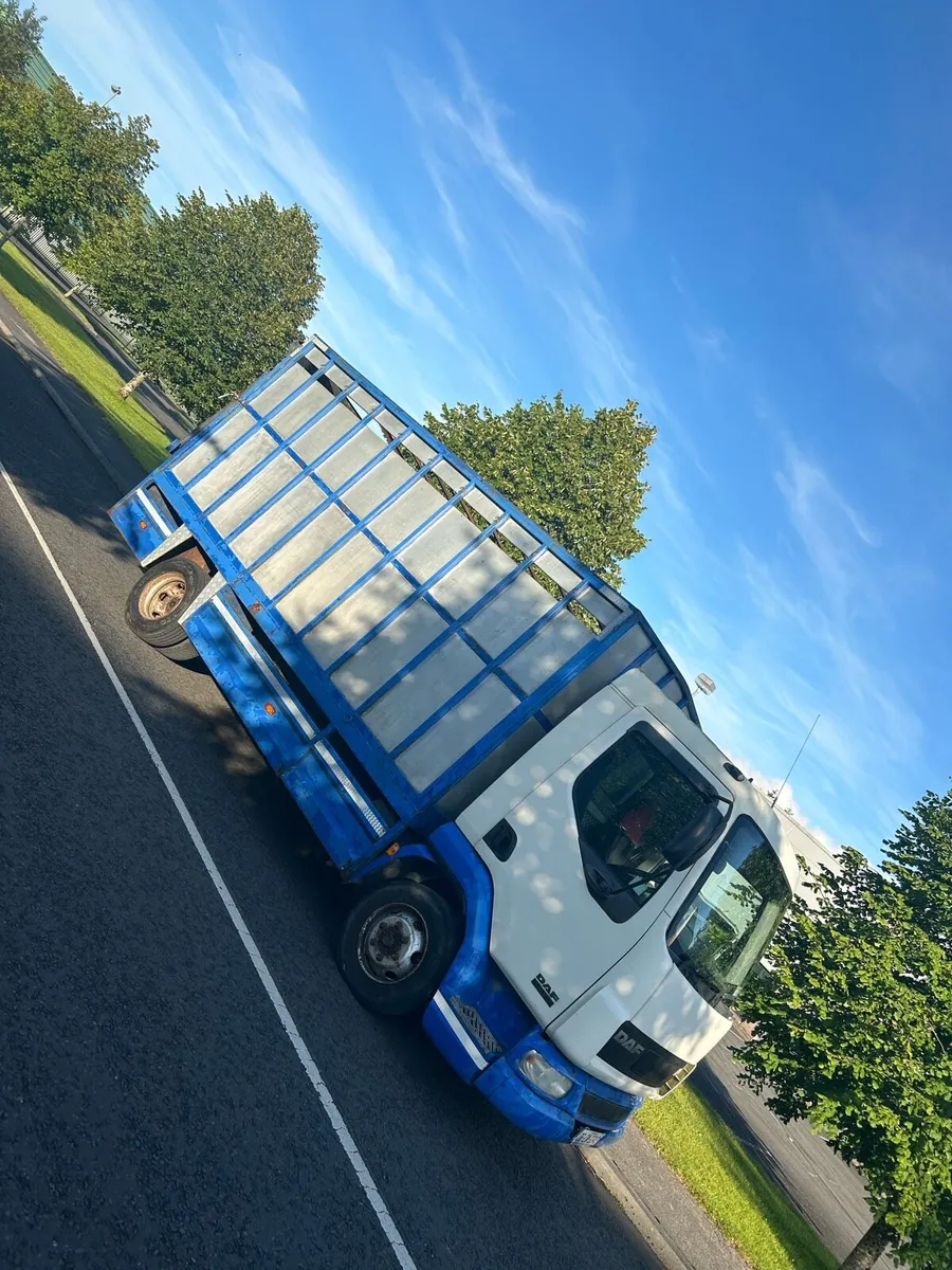 DAF LF CATTLE LORRY - Image 1
