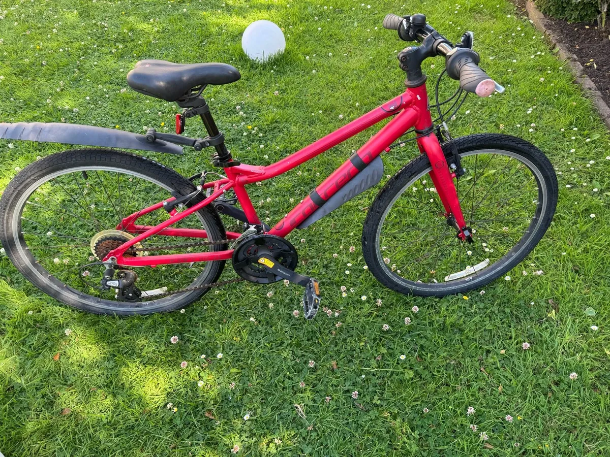 Bike - Image 2