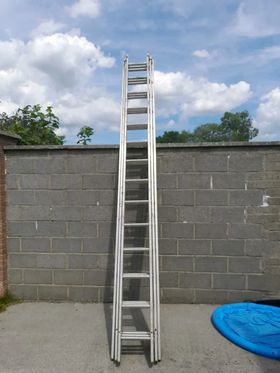 3x14 strawbally ladders for sale