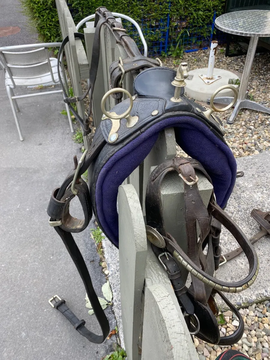 Driveing harness - Image 1