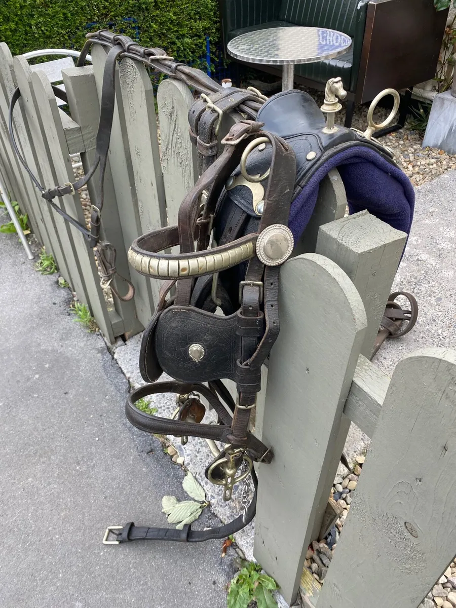 Driveing harness - Image 2