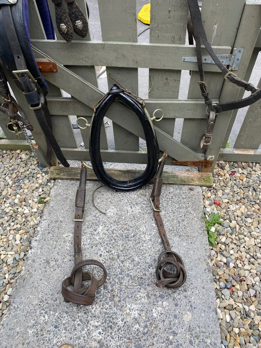 Driveing harness - Image 4