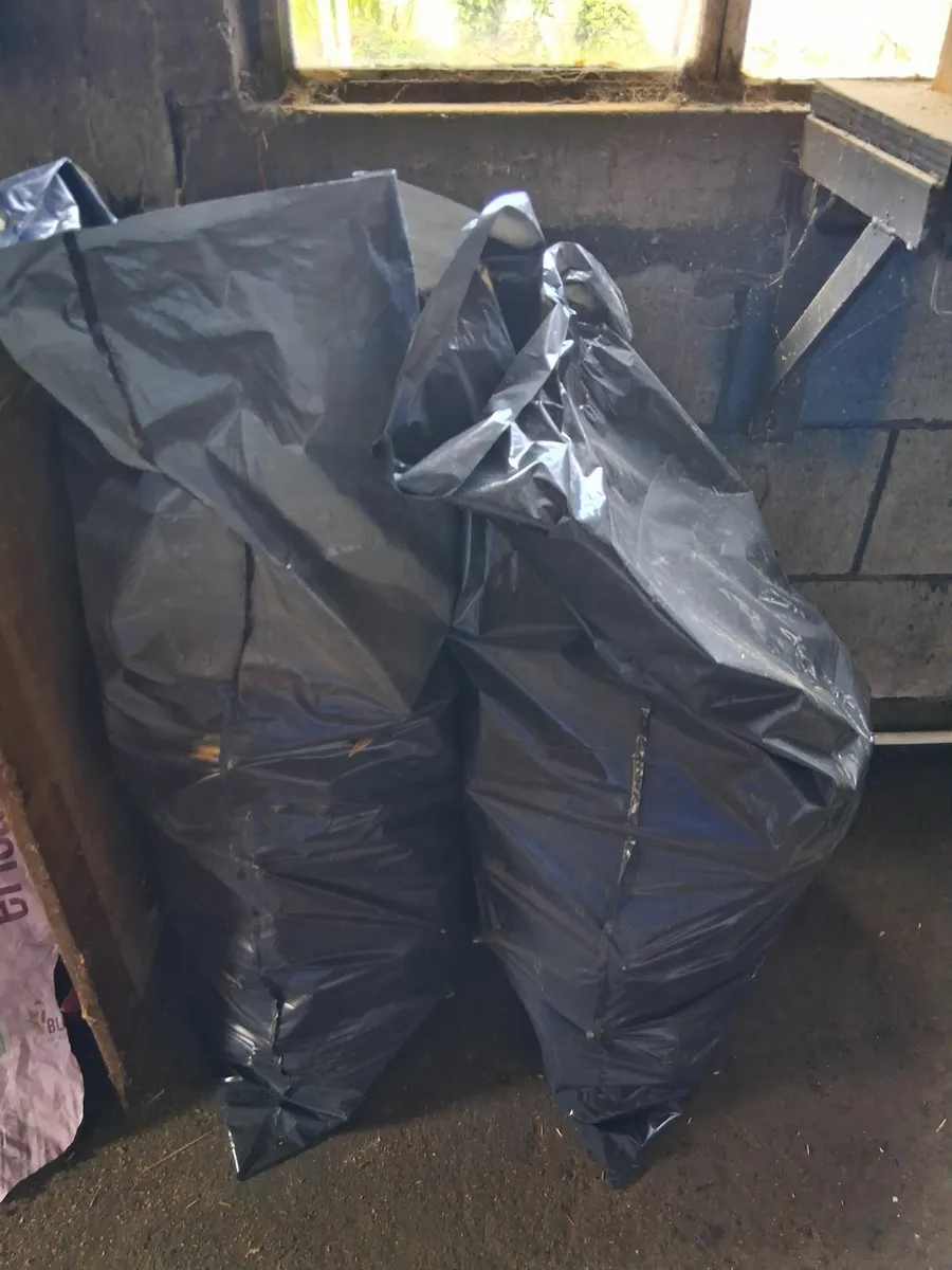 Free Firewood (cut and bagged) - Image 2