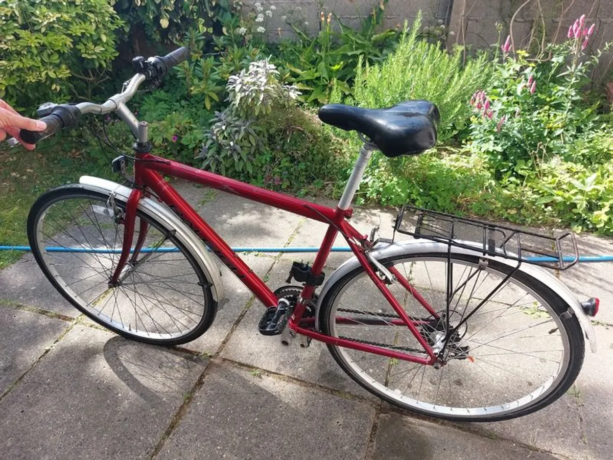 Raleigh Pioneer bike - Image 1