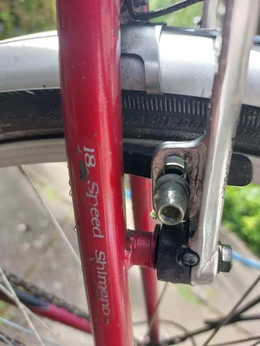 Raleigh Pioneer bike - Image 2