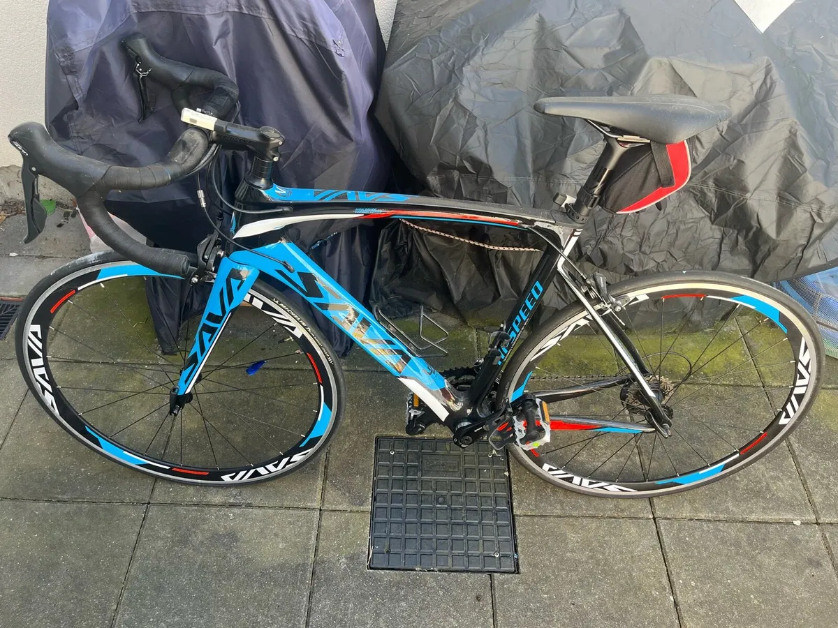 Carbon Bike