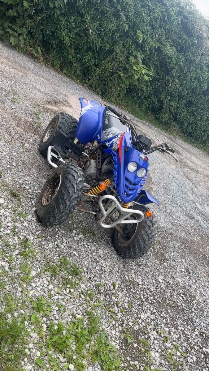 Quad - Image 2