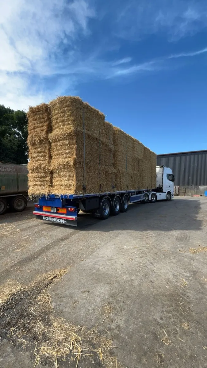 Straw - Image 1