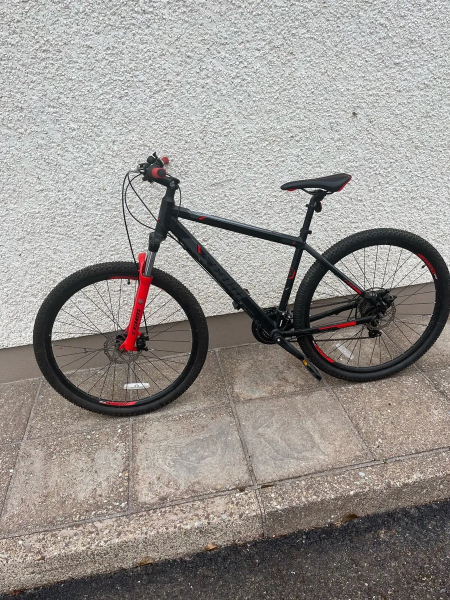 Bike - Image 2