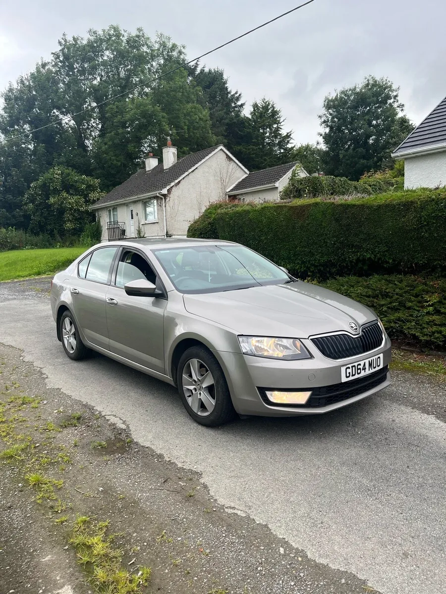 2015 Skoda Octavia full year test - Image 1