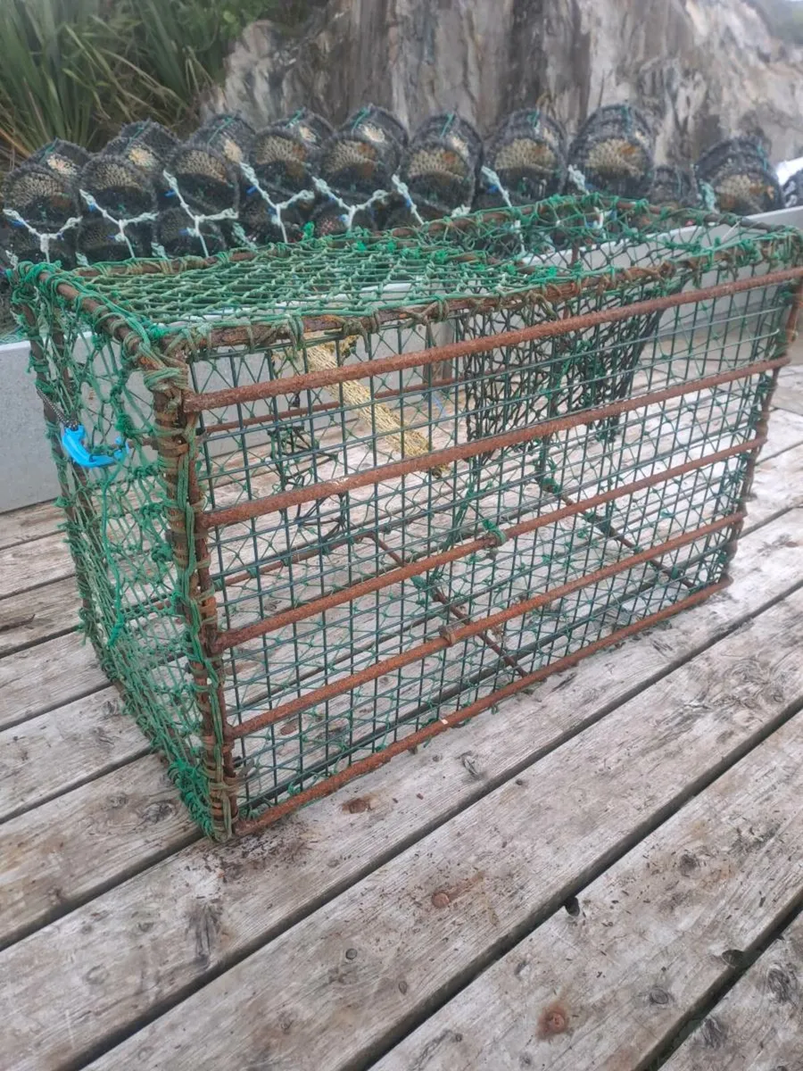18 Crayfish - Lobster Pots - Image 3