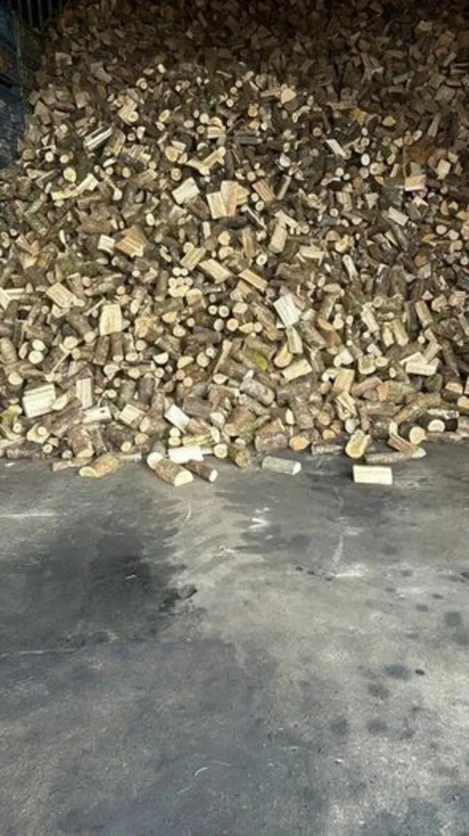 Seasoned softwood firewood - Image 3