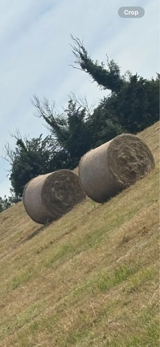 Hay bales round - Image 1