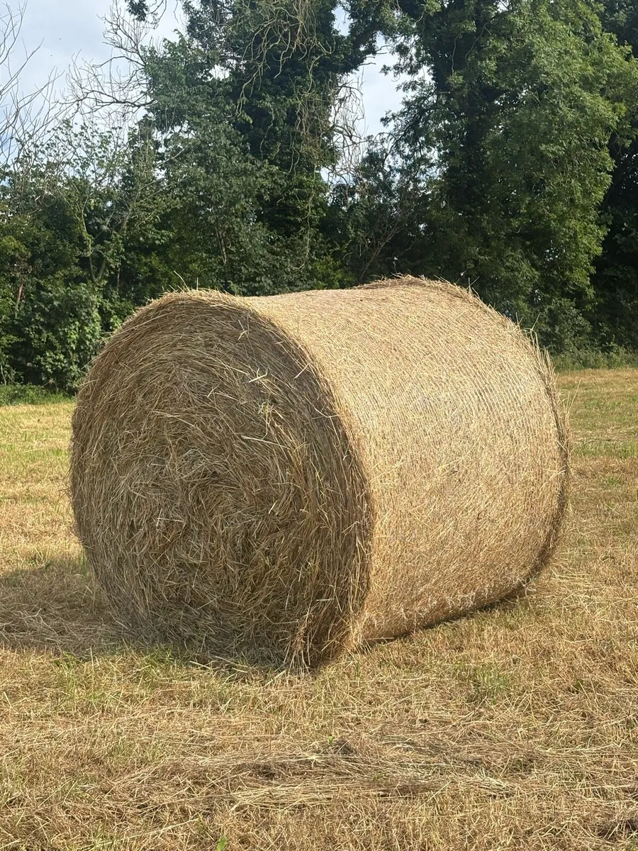 Hay bales round - Image 2
