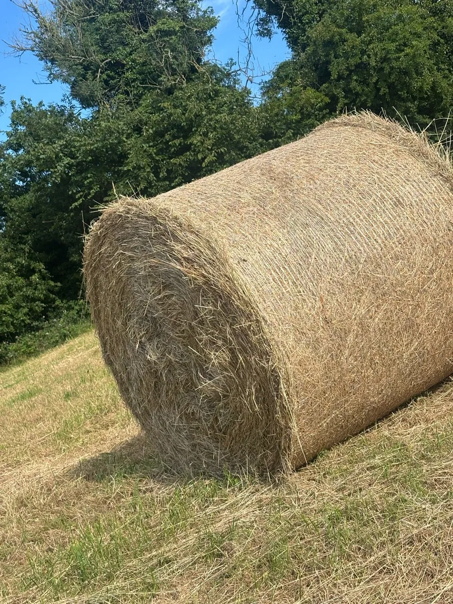 Hay bales round - Image 3