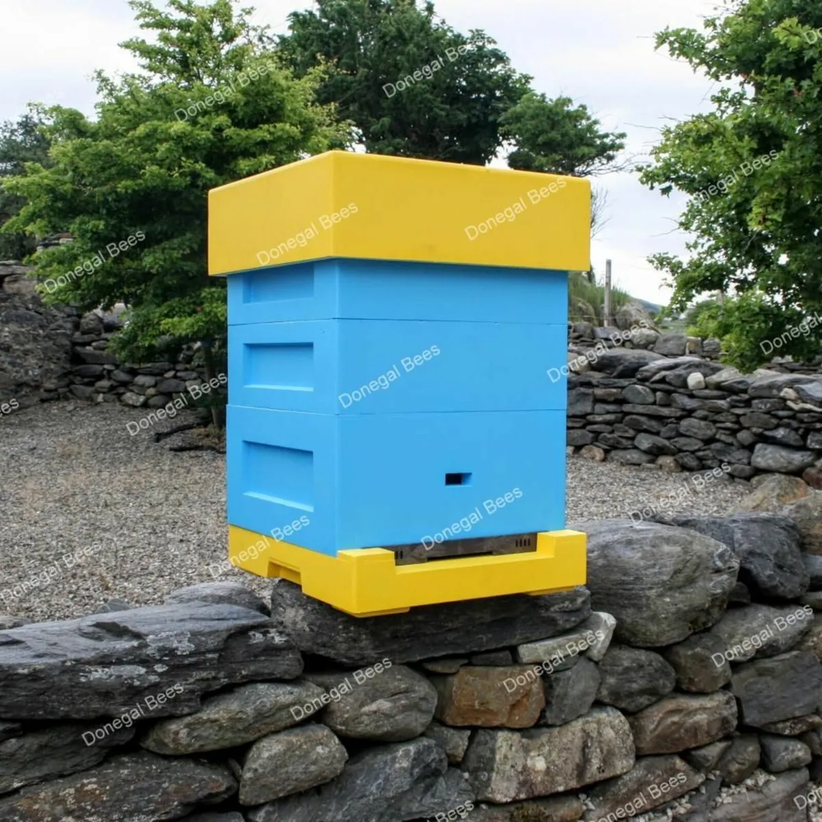 Beekeeping equipment & Bees - Image 1