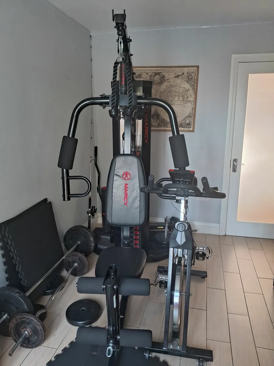 Gym Equipnent - Image 2