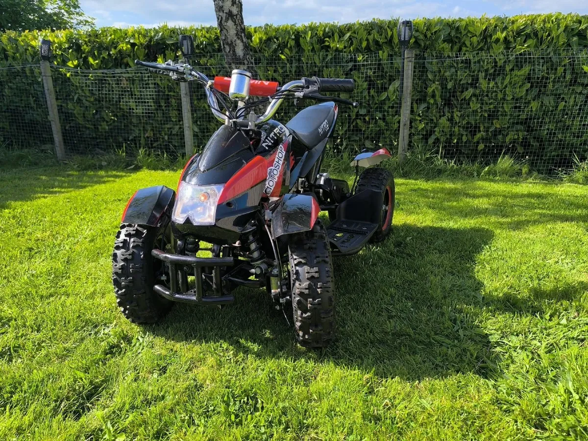Electric Quad bike - Image 3