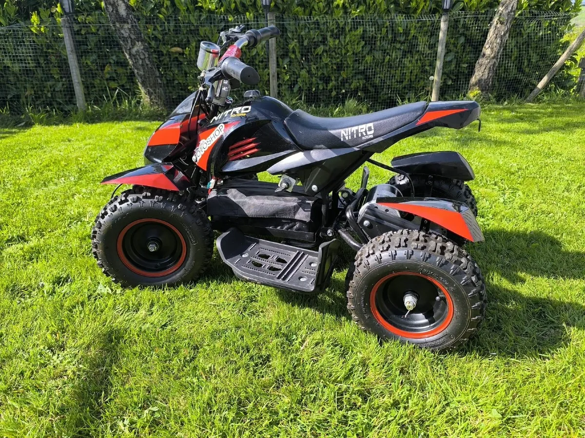 Electric Quad bike - Image 4