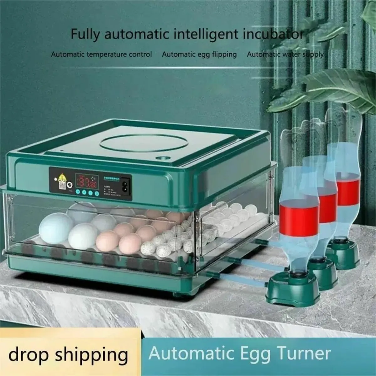 24 Egg Incubator with Auto Temp & Water Refill - Image 3