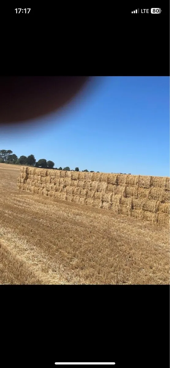 Wexford straw delivered nationwide - Image 1