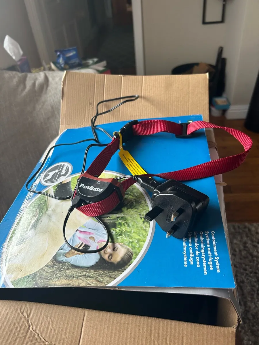 Dog E Collar - Image 3
