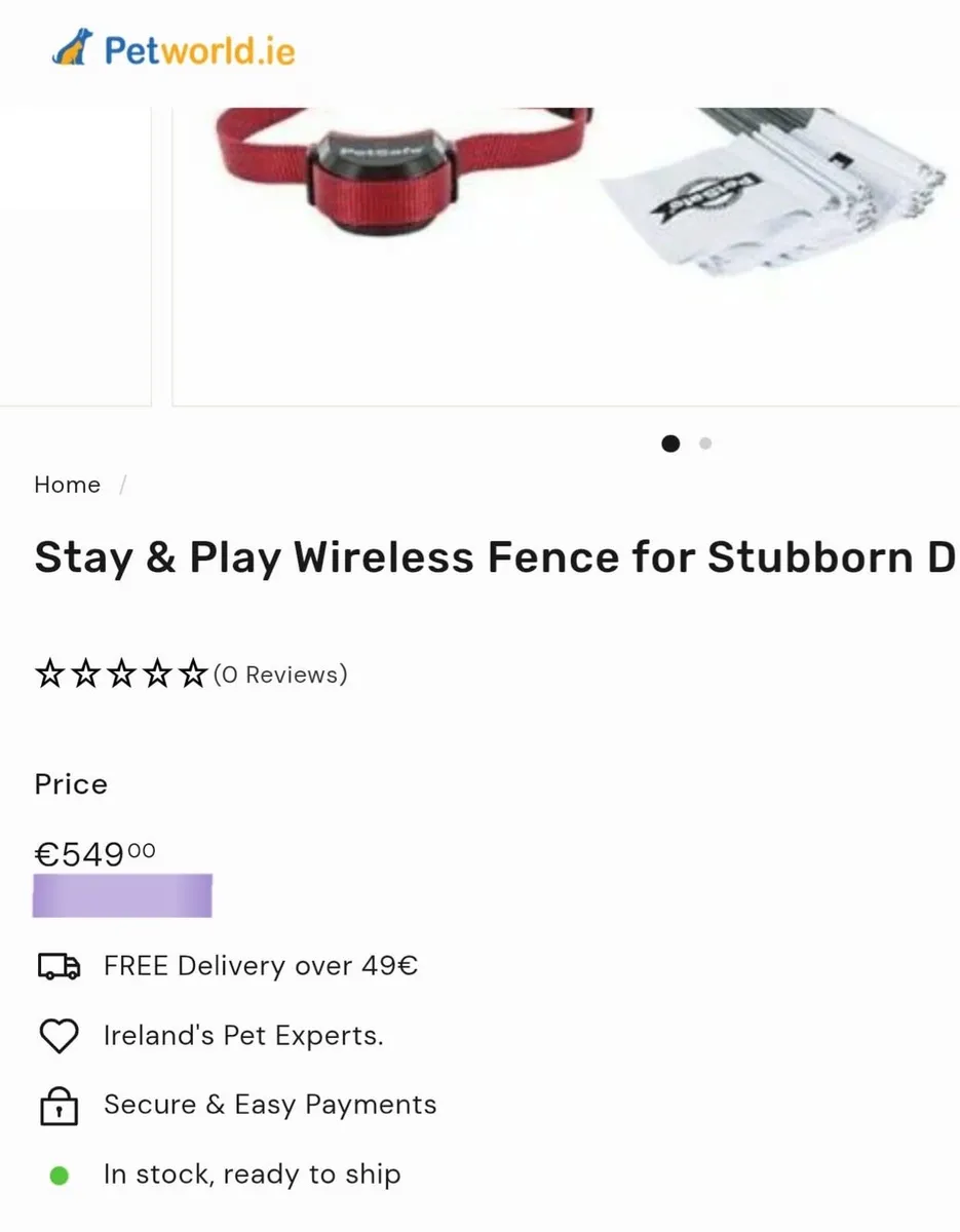 Dog E Collar - Image 4