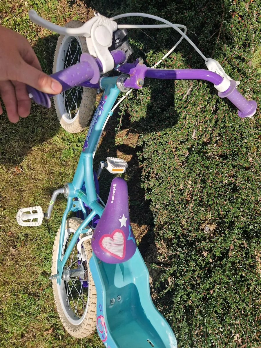 Bicycle - Image 2