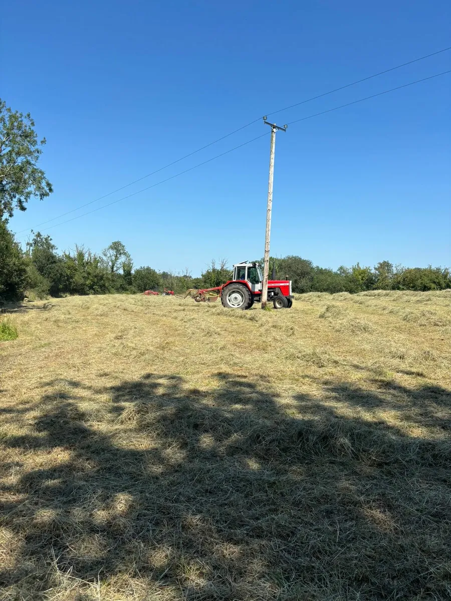 Square bales of hay - Image 2
