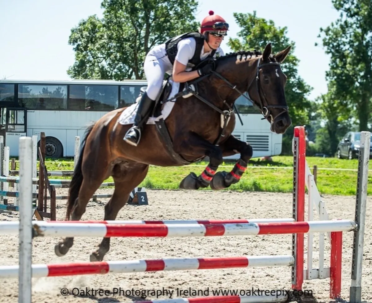 EI100 + horse - Image 3