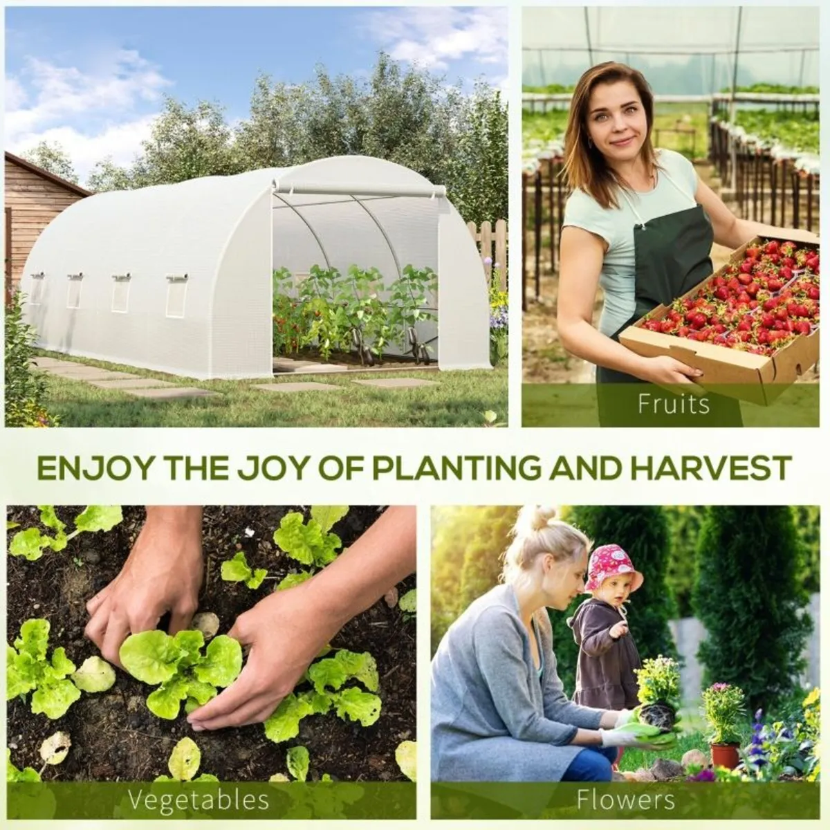 POLYTUNNEL GREENHOUSE - Image 2