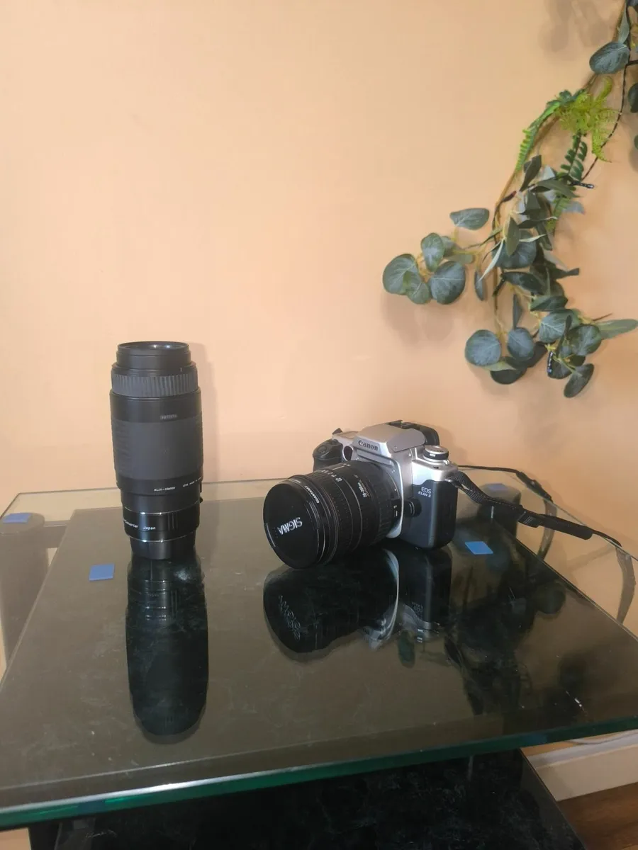 Photography - Image 4