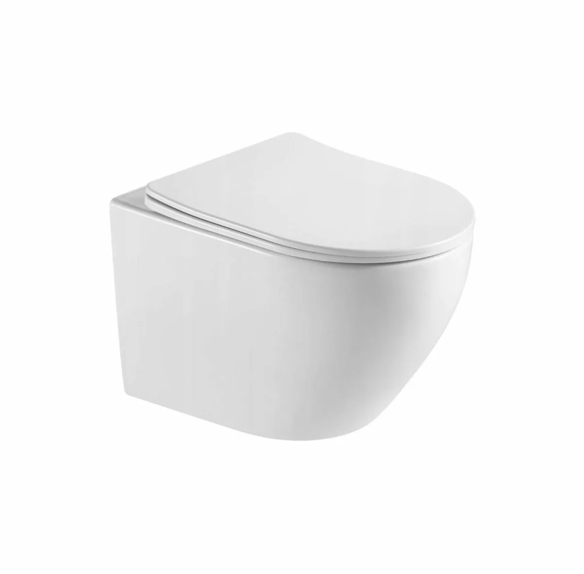 Wall hung Toilet with Soft close seat & Concealed - Image 3