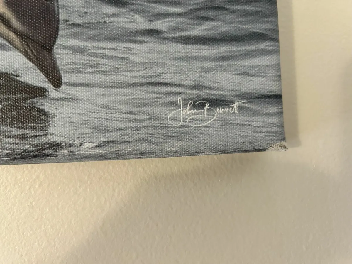 John Bennett  Dolphin Print - Image 2