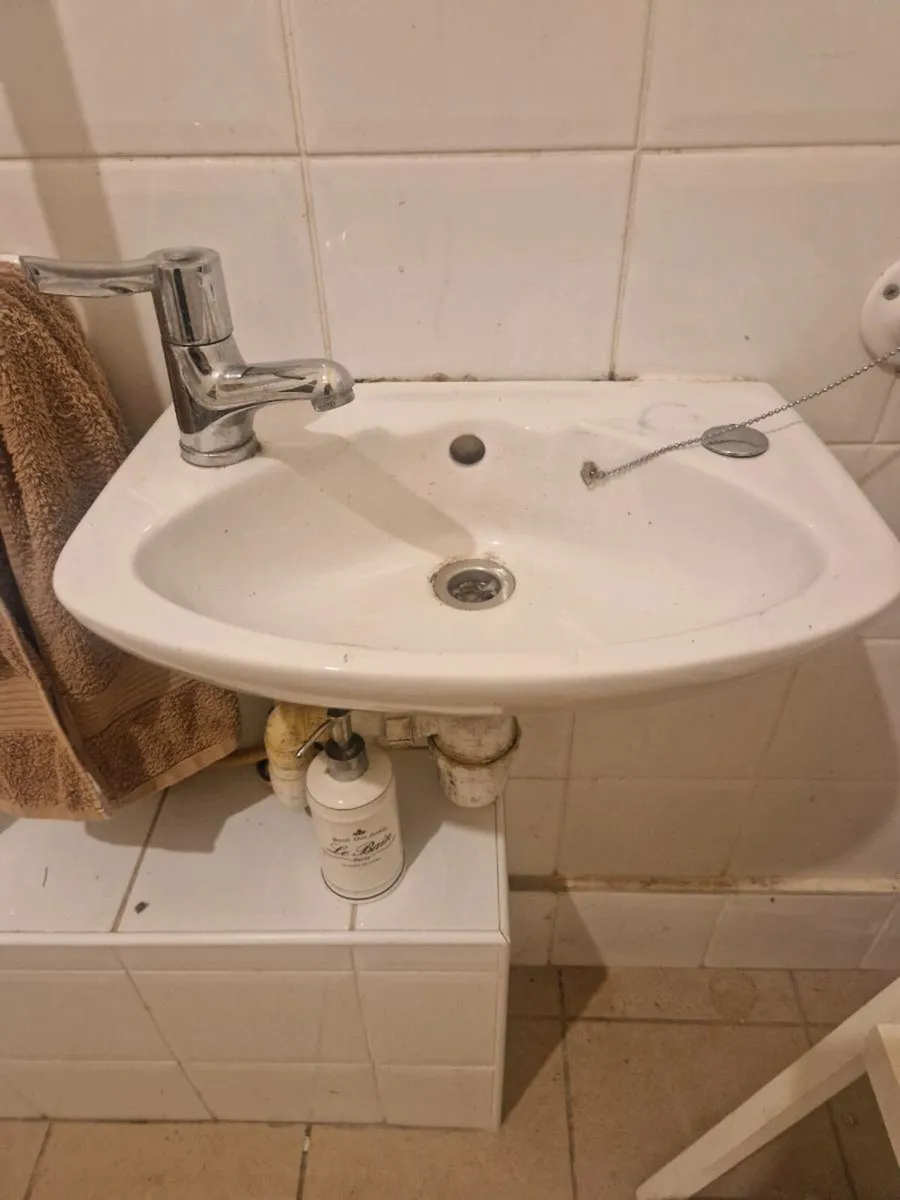 Sinks and toilets - Image 4