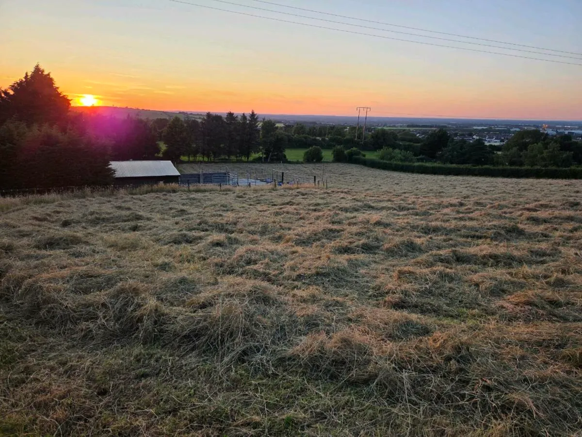 Hay for sale - Image 1